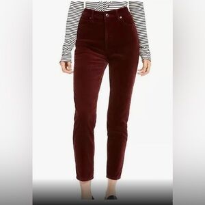 Women's Burgundy Velvet Pants